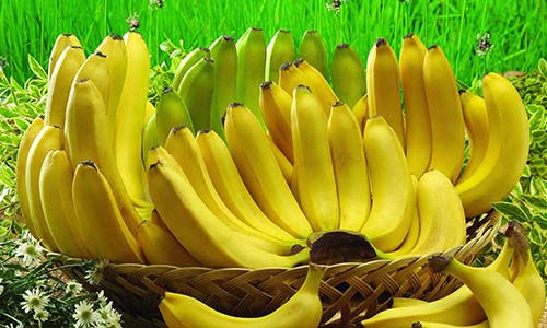 Bạn biết gì về chuối?