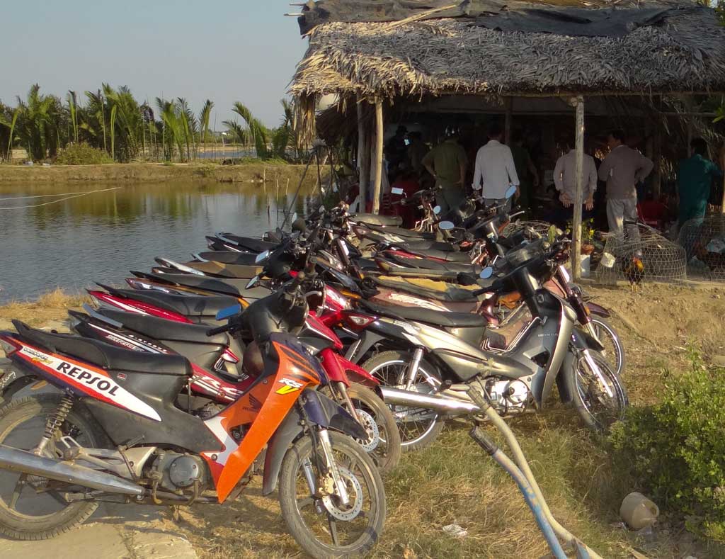 Bắt thiếu phụ tổ chức sòng bạc cho chủ vuông tôm