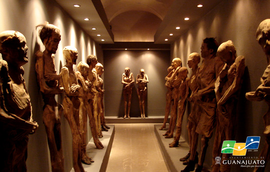 
Những x&aacute;c người trong bảo t&agrave;ng El Museo de las Momias. Ảnh: Guanajuato
