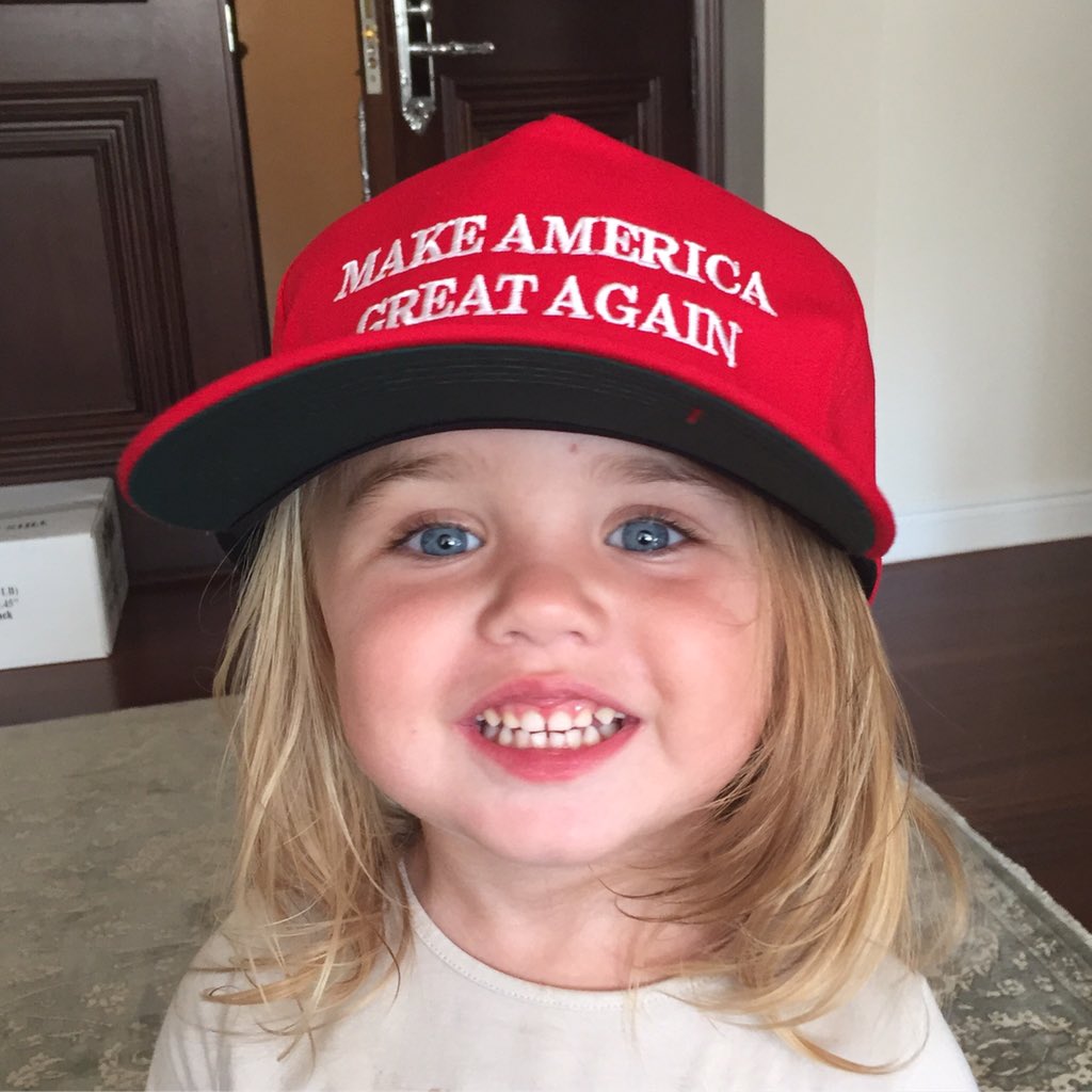 Bức ảnh con trai cả của ông Trump dùng để công kích bà Clinton. Ảnh: Donald Trump Jr.