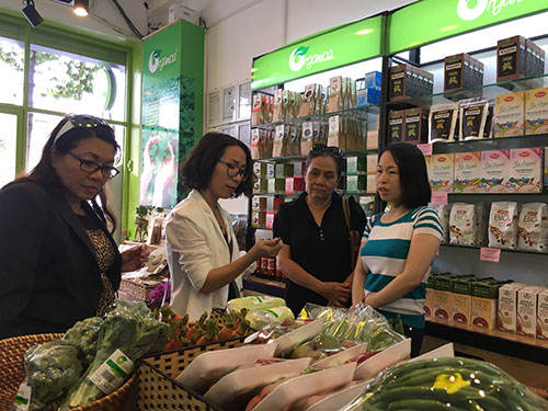 Thực phẩm hữu cơ Organica giảm giá 10%
