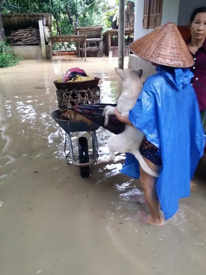 Người d&acirc;n Tuy&ecirc;n H&oacute;a chạy lũ (ảnh Ngọc H&agrave;)