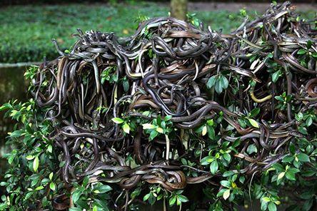 Muốn lạnh gáy, hãy đến những nơi này