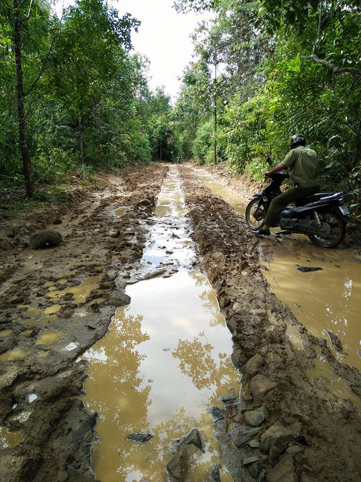 Một thanh niên mất tích bí ẩn trong rừng
