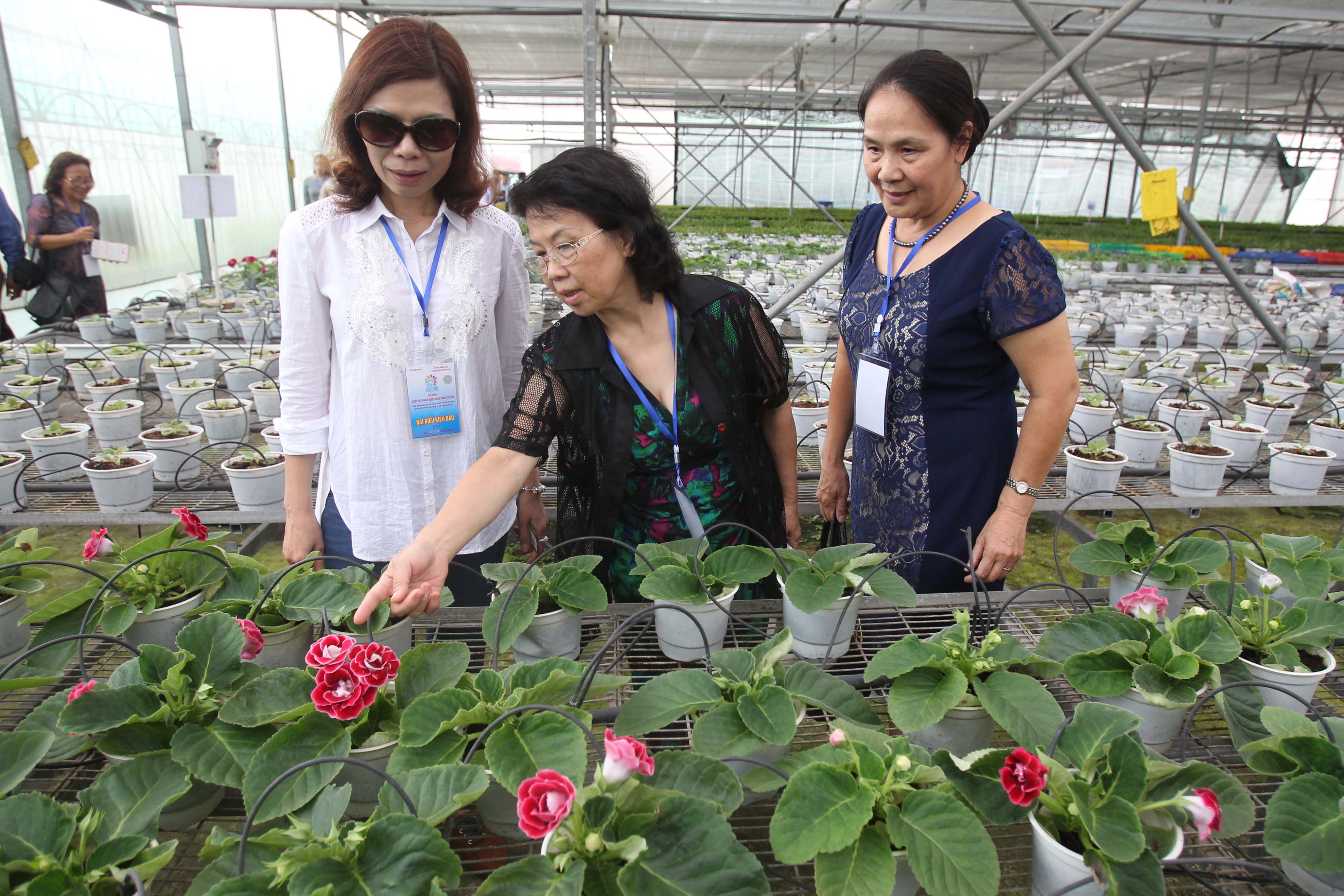 Kiều bào tham quan Trung tâm Công nghệ Sinh học TP HCM