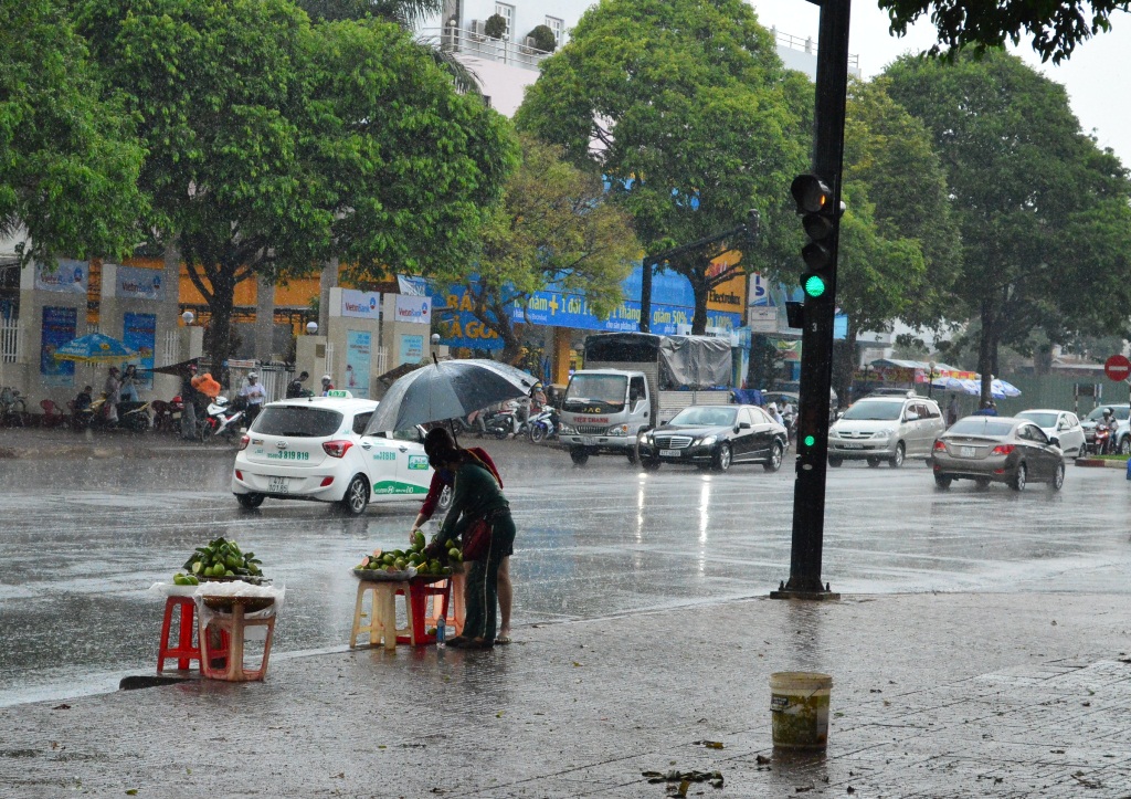 “Mưa vàng” gây đổ cây, tốc mái