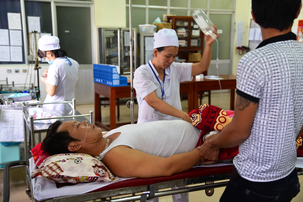 Ăn cá nóc, 5 người nhập viện