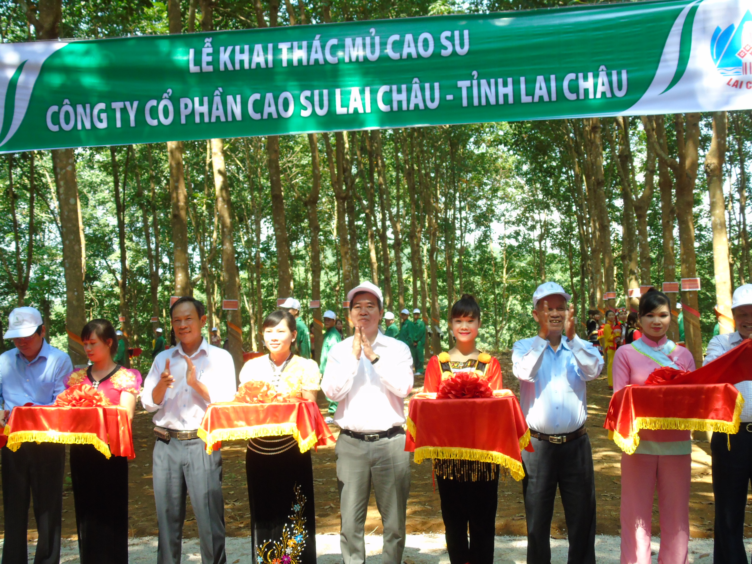 Trưởng ban Kinh tế Trung ương Nguyễn Văn Bình cùng lãnh đạo tỉnh Lai Châu, Tập đoàn Cao sư Việt Nam, cắt băng tại lễ khai thác mủ cao su tại nông trường Lùng Thàng