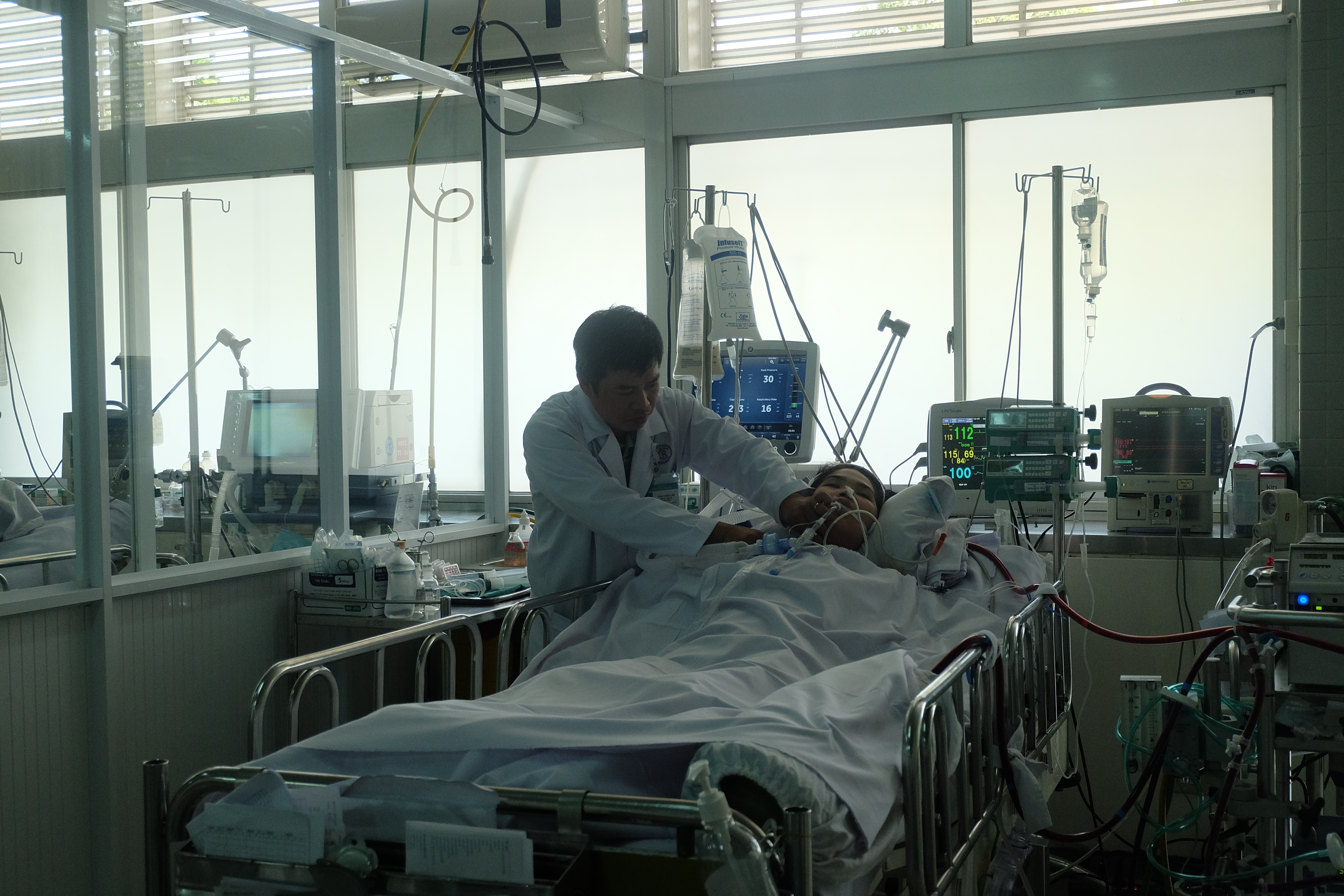 Ong bầu bất ngờ tấn công, thiếu nữ suýt chết