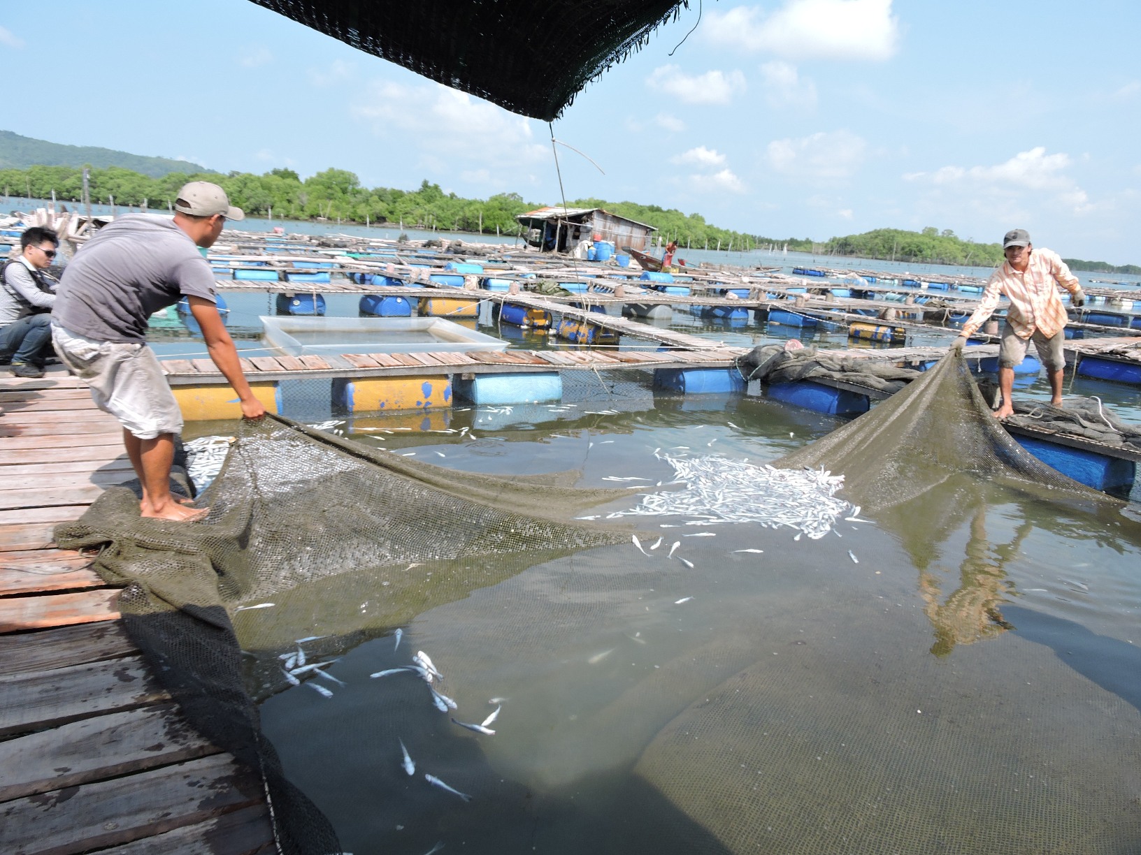 20 luật sư tham gia vụ kiện 14 doanh nghiệp xả thải ở Long Sơn