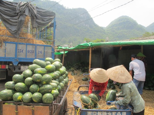 Tại sao thương nhân Trung Quốc thích đi đường tiểu ngạch?