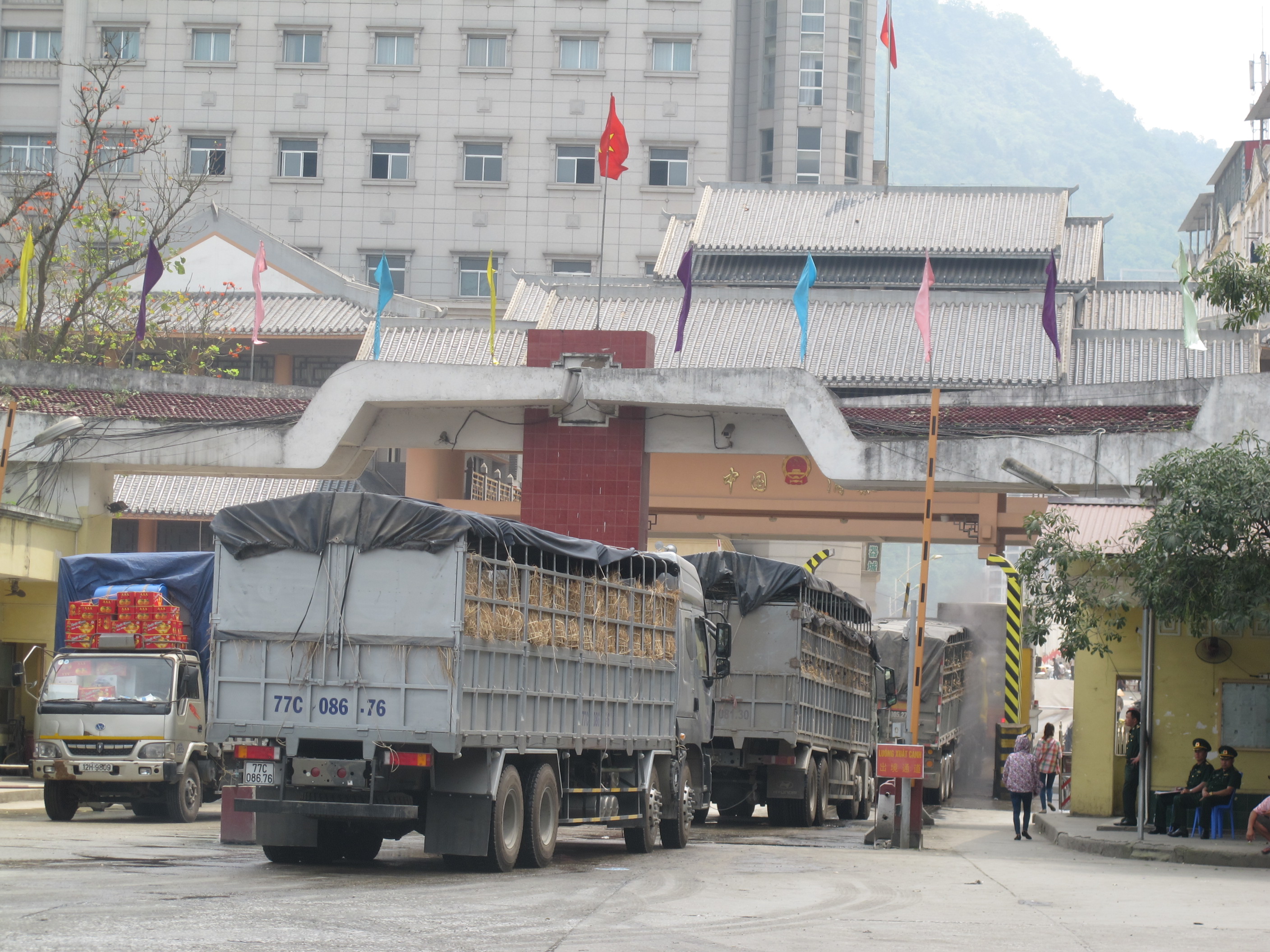 Tìm cách kéo giảm cước vận tải