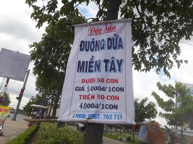 Đuông dừa miền Tây 5.000 đồng/con ở lề đường Sài Gòn