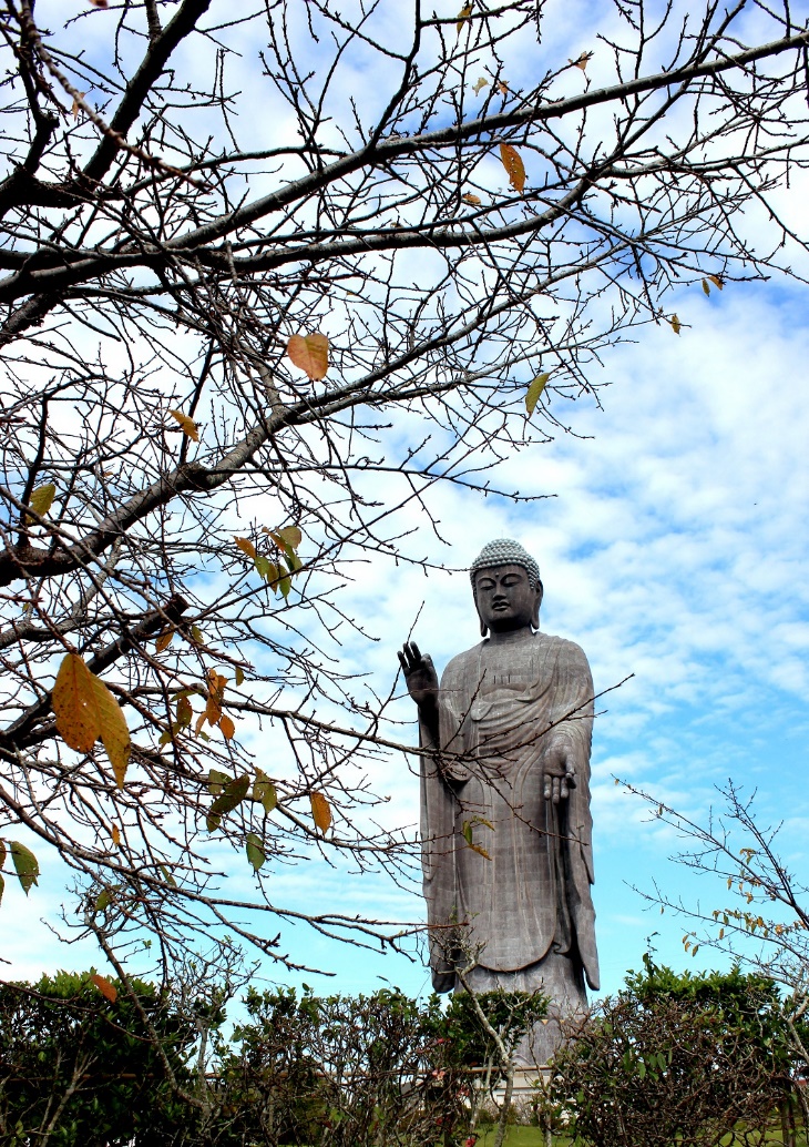 
Xung quanh l&agrave; c&ocirc;ng vi&ecirc;n trồng nhiều loại hoa kh&aacute;c nhau theo m&ugrave;a: t&ugrave;ng, anh đ&agrave;o, c&aacute;nh bướm&hellip; Tại đ&acirc;y, du kh&aacute;ch c&oacute; thể đi dạo vườn hoa v&agrave; cho c&aacute; ăn&hellip;
