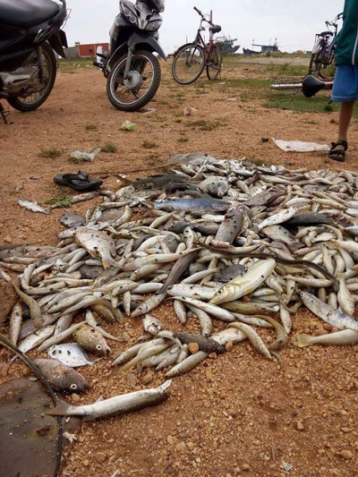 Đừng để muộn