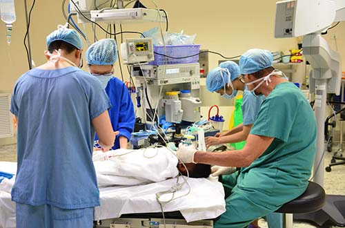 Bệnh viện FV triển khai dịch vụ ghép giác mạc chất lượng cao