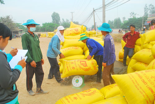 Lo xuất khẩu giảm sút