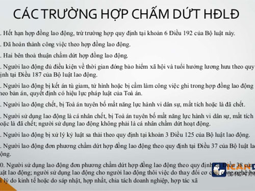 Không gia hạn hợp đồng