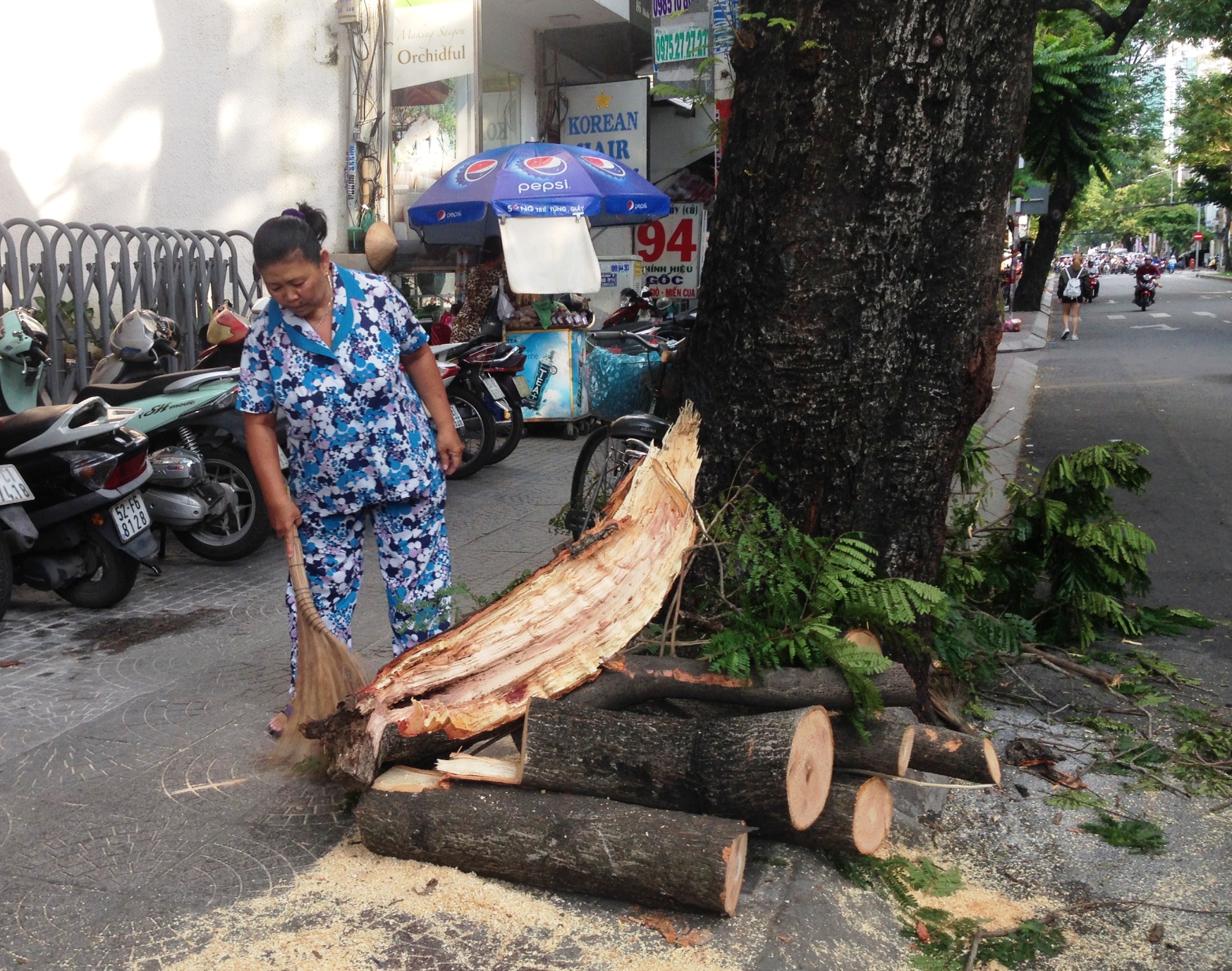 
Nh&aacute;nh c&acirc;y sau đ&oacute; được cưa ngắn v&agrave; đưa v&agrave;o lề đường
