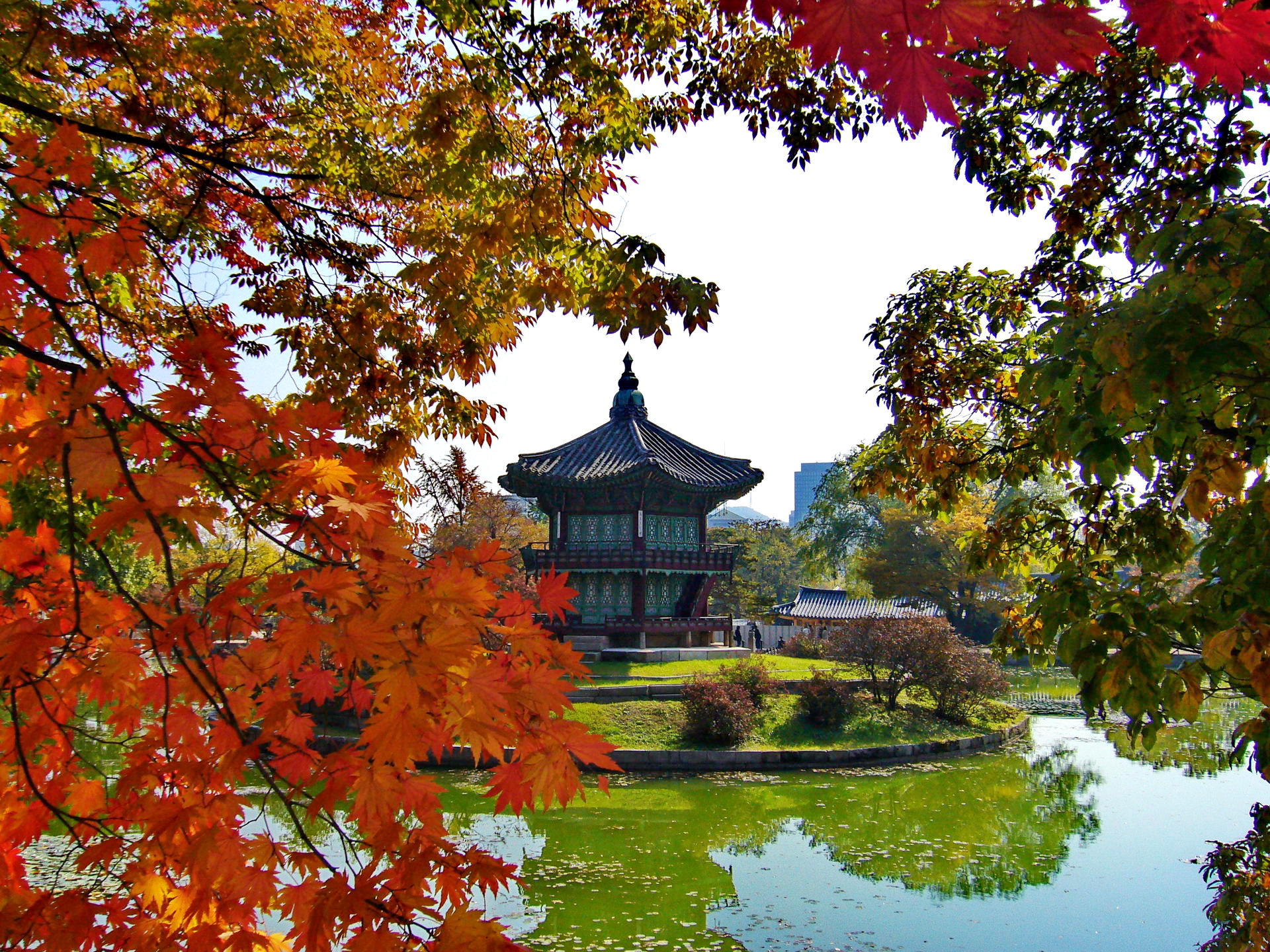 Lãng mạn chùm tour mùa thu