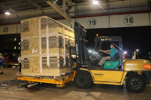 Công ty Hùng Vương nhập 750 con heo giống