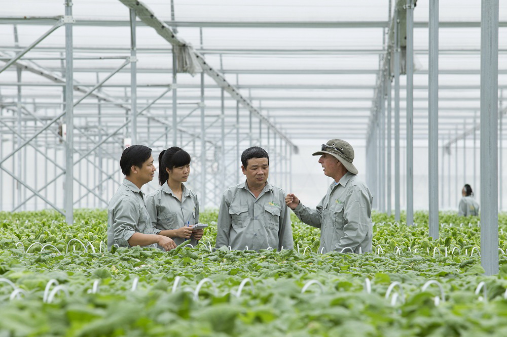 Vingroup liên kết với 1.000 HTX và hộ nông dân cung ứng nông sản sạch và an toàn
