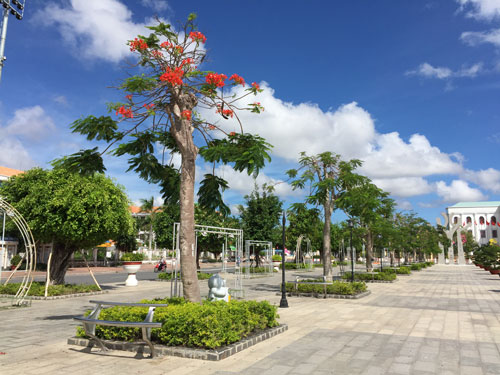 Sai phạm tiền tỉ, chỉ rút kinh nghiệm