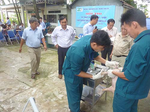 Hội thi kỹ thuật chăn nuôi heo - Sagri
