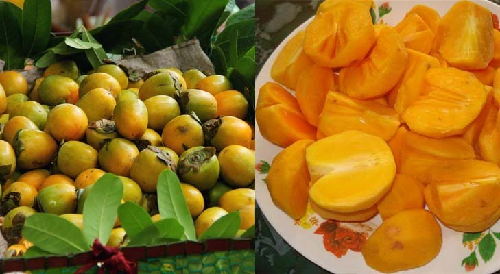 Ăn nhiều trái cây có chất tanin có thể gây tắc ruột