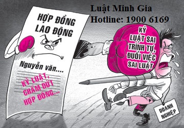 Công ty sơ suất