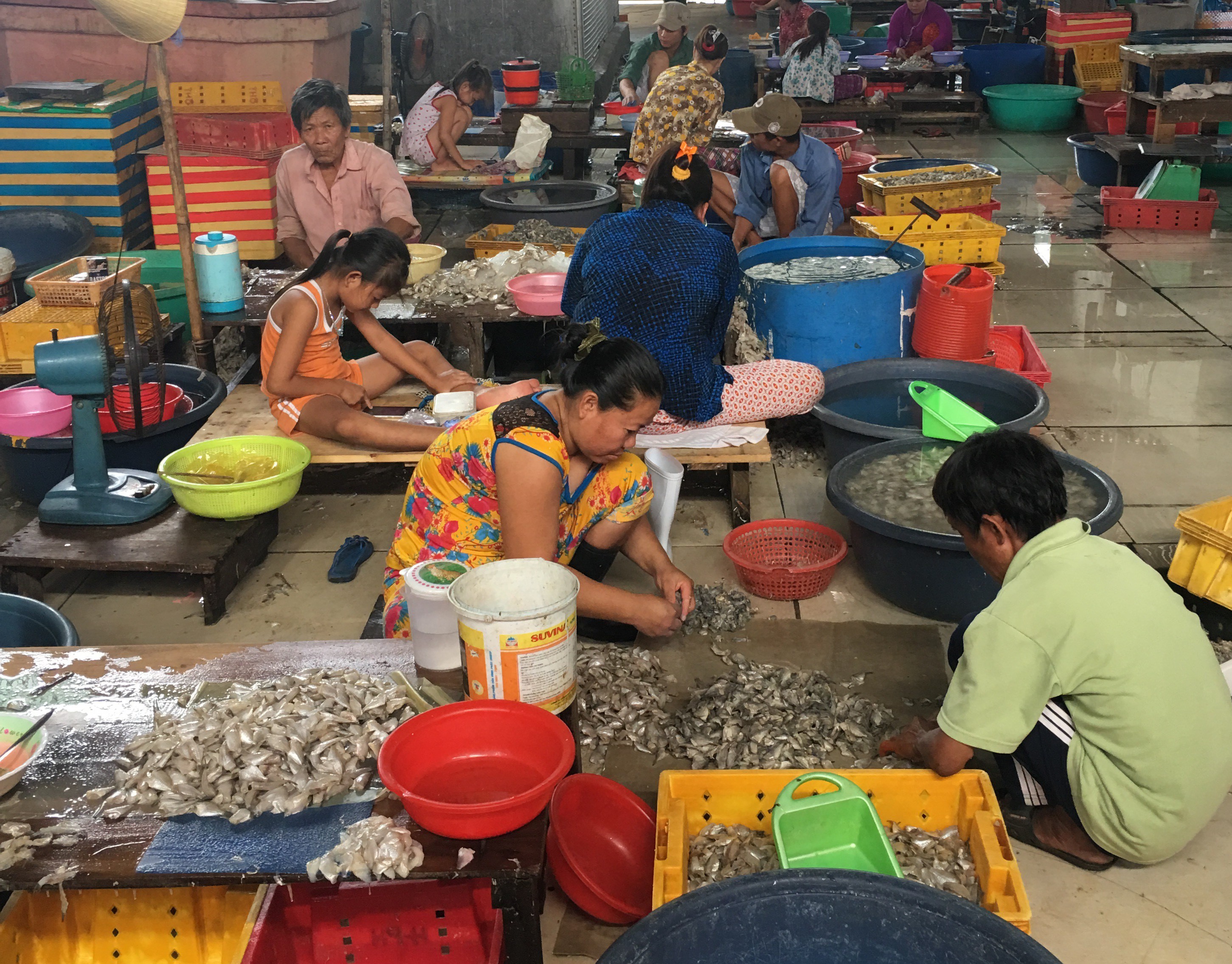 Cơ sở chế biến cá xả thải thẳng ra sông