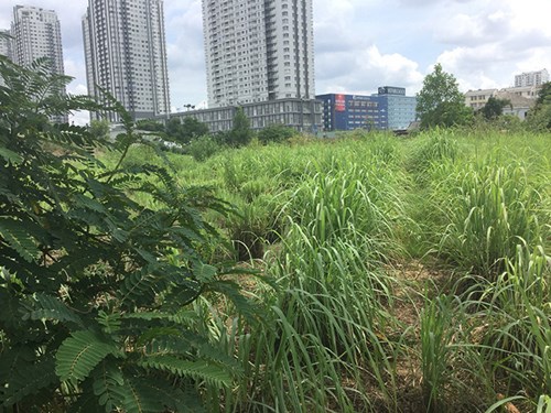 Bất động sản của Phương Trang trải dài khắp nơi
