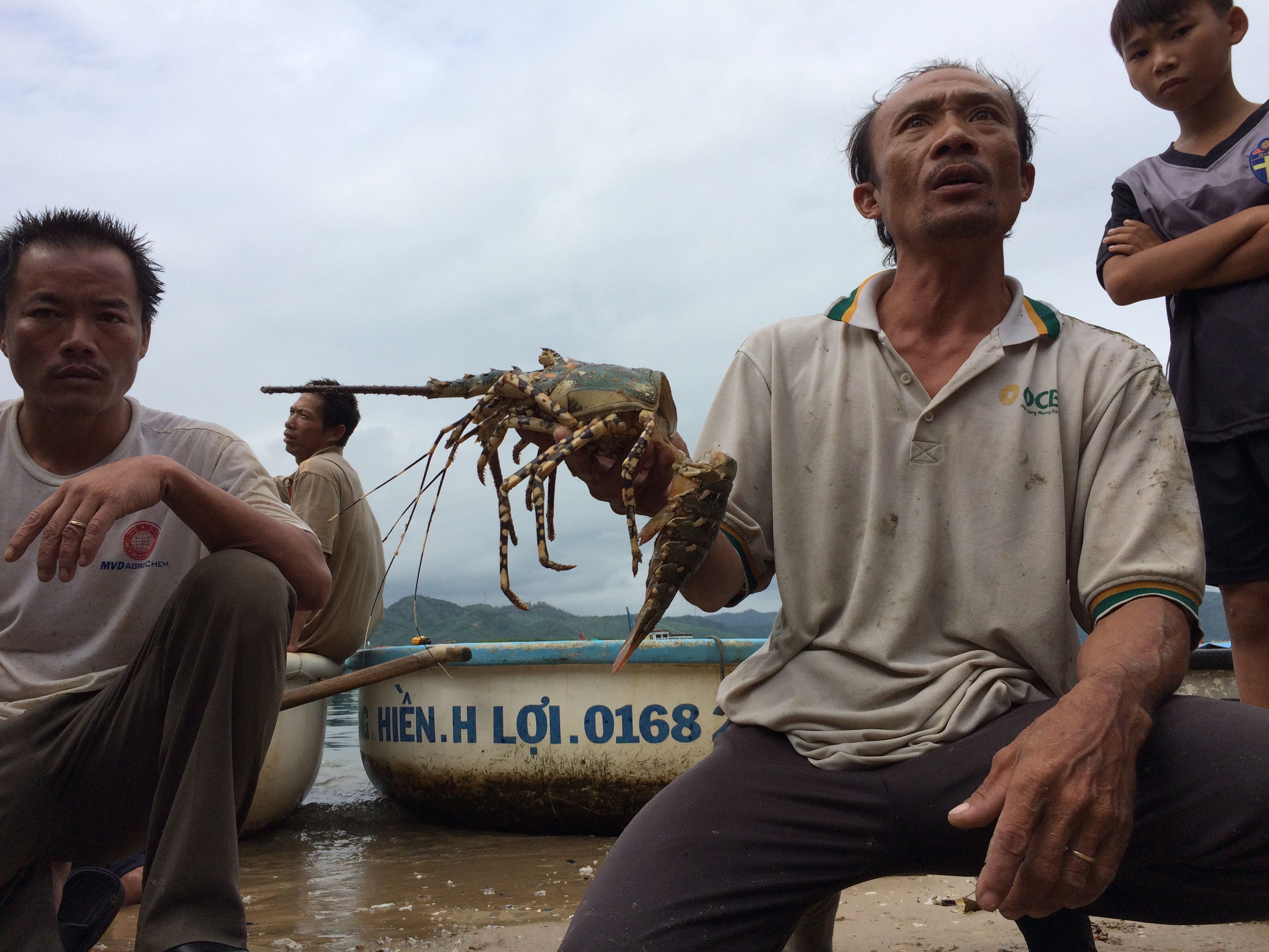 Mỗi ngày tôm càng thêm chết, người nuôi đang lo lắng chuyện không có vốn để trả nợ ngân hàng. Thị xã Sông Cầu được cho là một trong những nơi nuôi tôm hùm nhiề ở khu vực Duyên hải Nam Trung bộ.