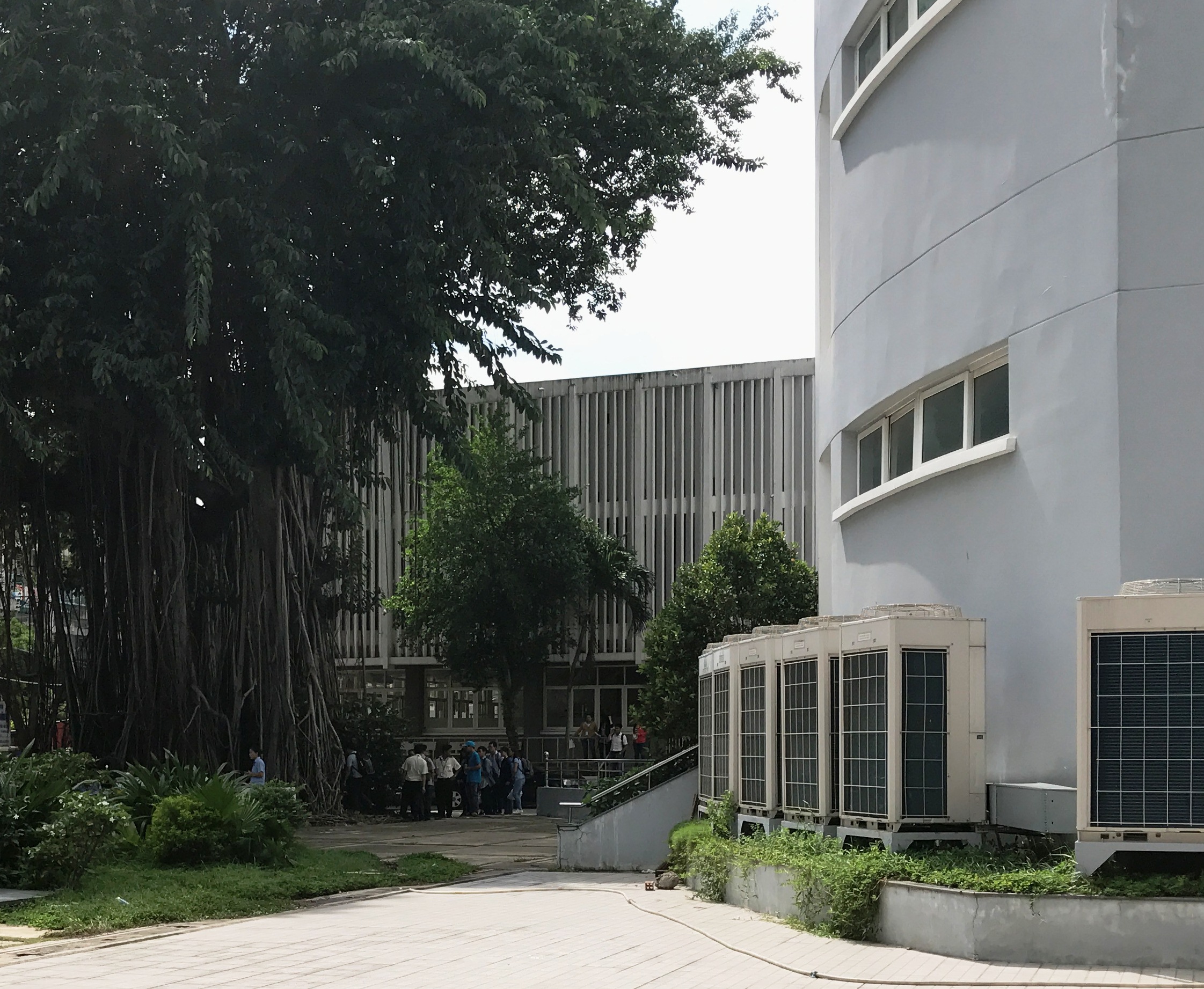 Nam thanh niên nghi nhảy lầu tự tử ở Trường ĐH Y Dược TP