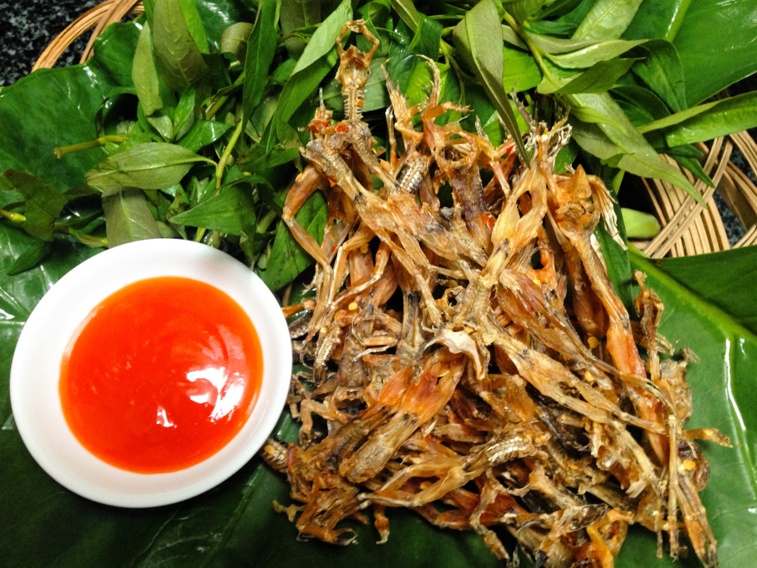 Chúng tôi ví von mấy em khô nhái là vũ nữ chân dài