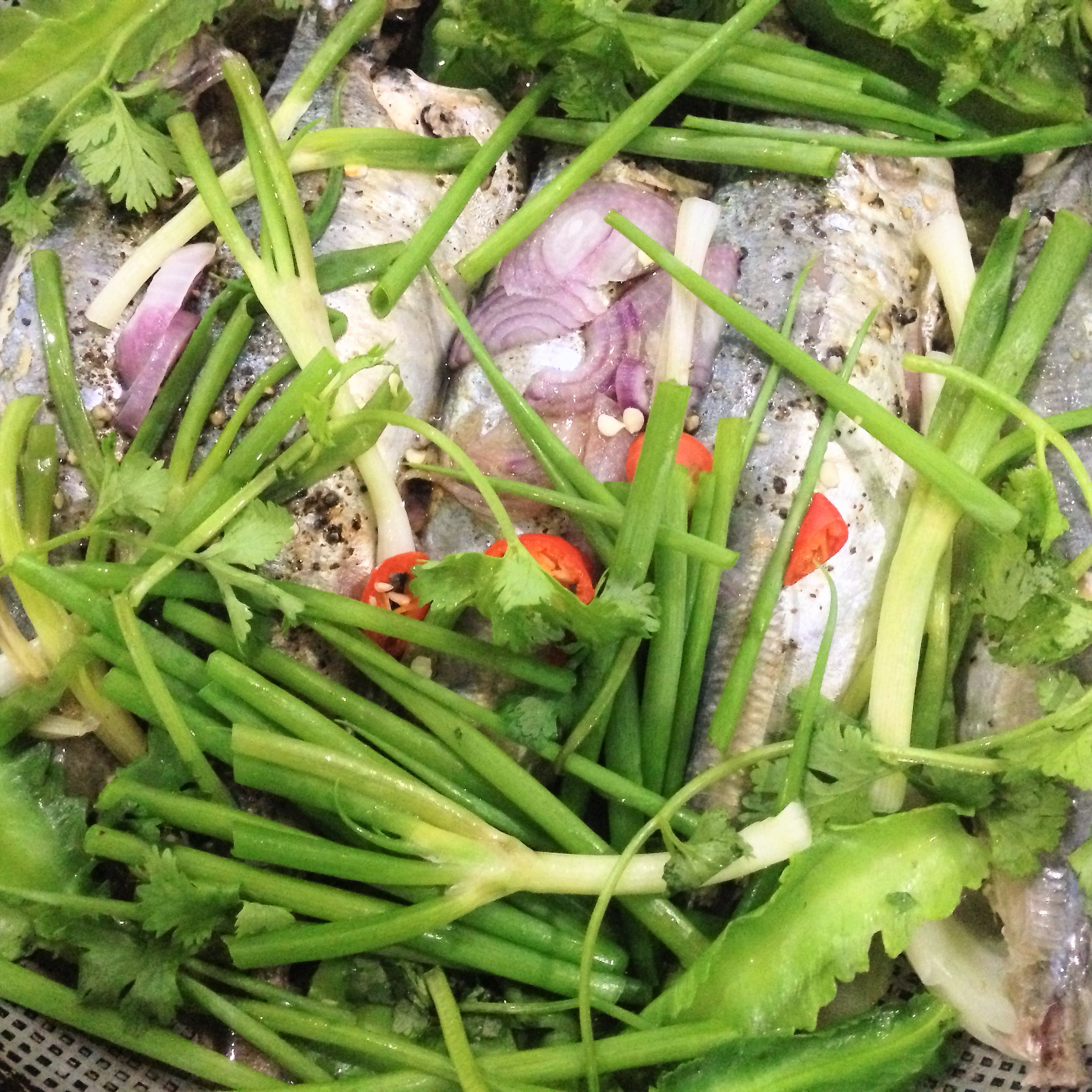 
Th&ecirc;m h&agrave;nh ng&ograve; cho c&aacute; nục thơm ngon
