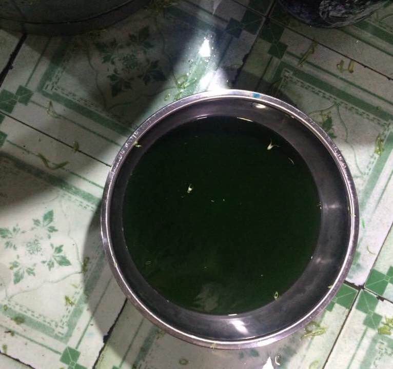 Hóa chất màu xanh được ngâm vào chậu nước