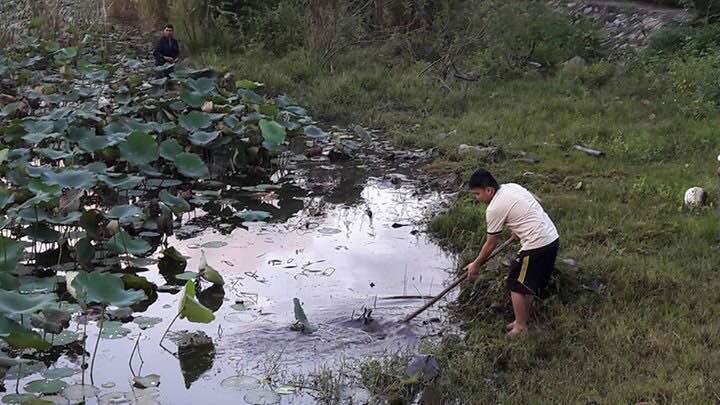 Nếu ra Côn Đảo một lần, chắc hẳn ai cũng phải trầm trồ khen ngợi về con đường thơ mộng giữa 2 hồ sen, quanh năm có hoa nở. Nhưng nơi đây cũng là địa điểm để một số thanh niên tụ tập uống rượu bia rồi vô tư xả rác ngay tại trận. Trong ảnh, một thanh niên đang gom rác dưới hồ sen