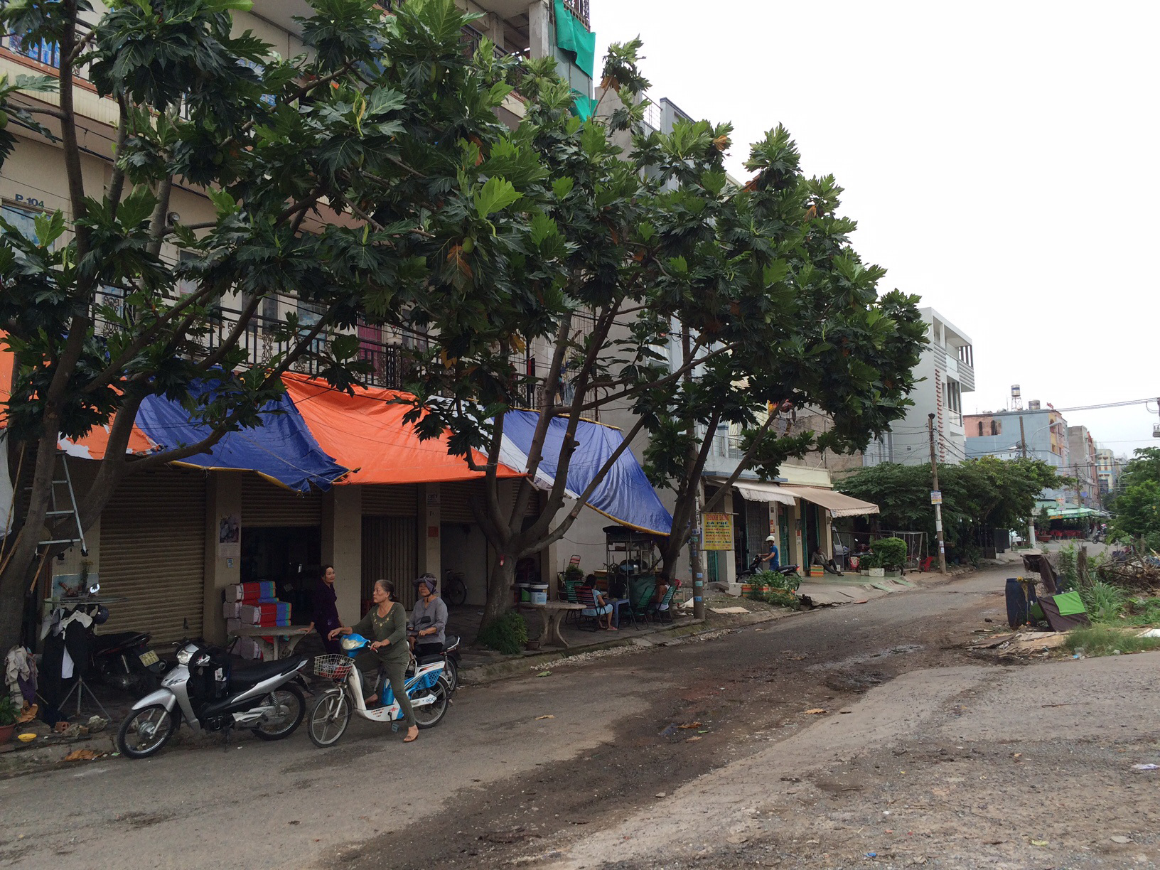 Dài cổ chờ cấp chủ quyền nhà đất