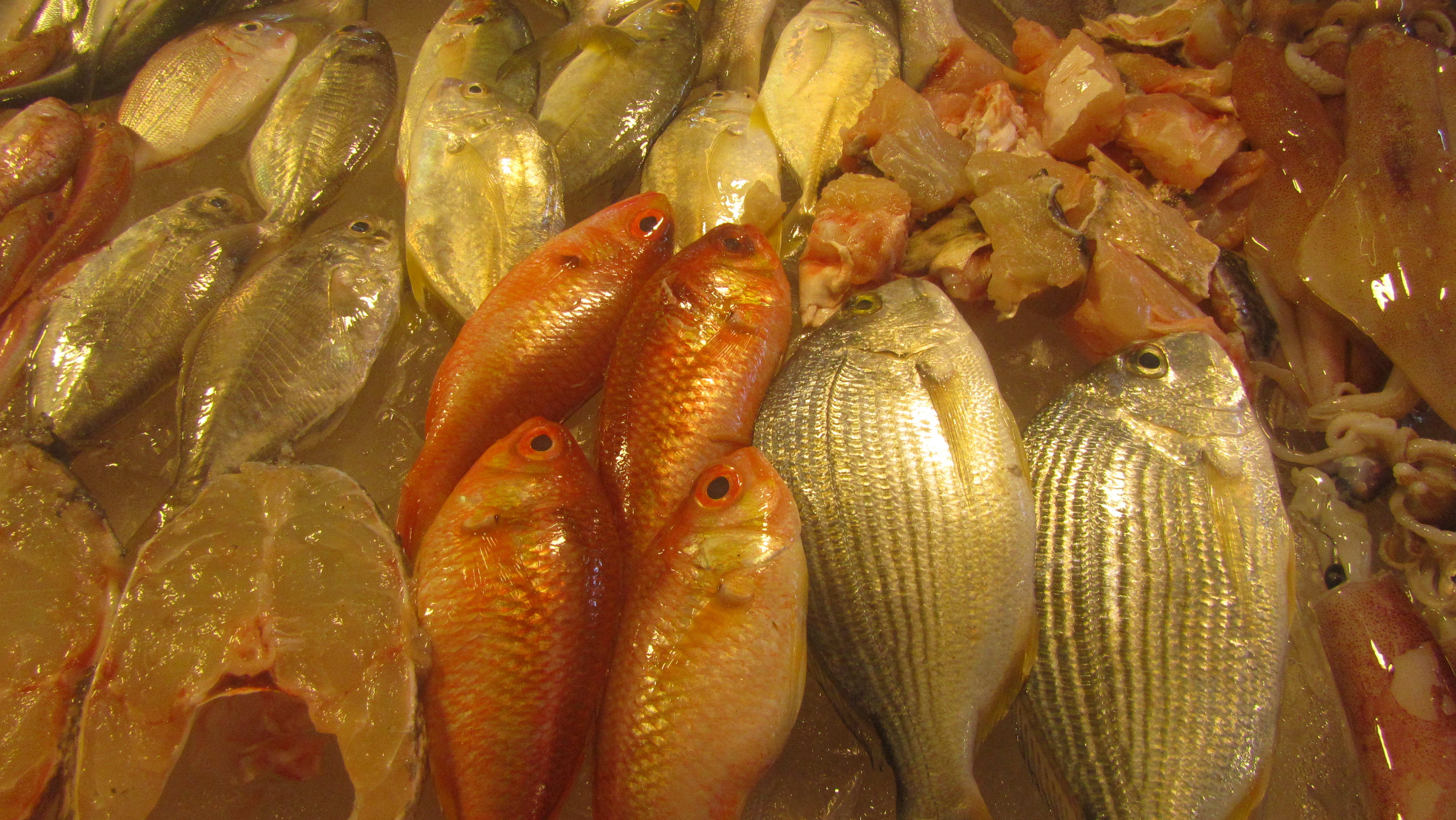 Cá biển tươi rói như vừa đánh bắt lên