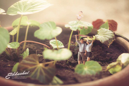 Chùm ảnh cưới “tí hon” đẹp lung linh