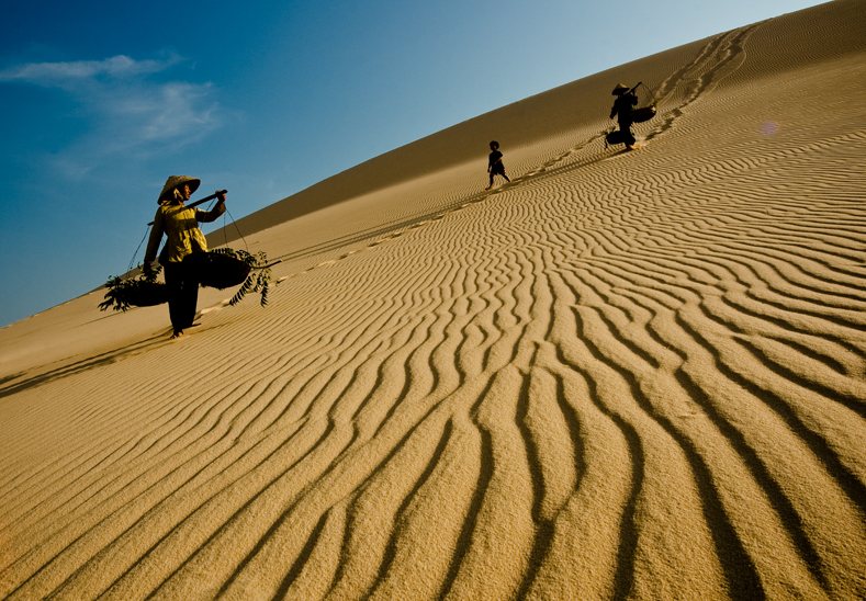 Hoang sơ đồi cát Hòa Thắng