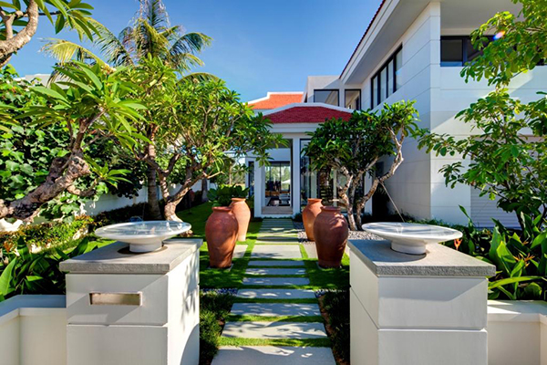 Chọn cây cảnh hợp phong thuỷ để trồng trong nhà