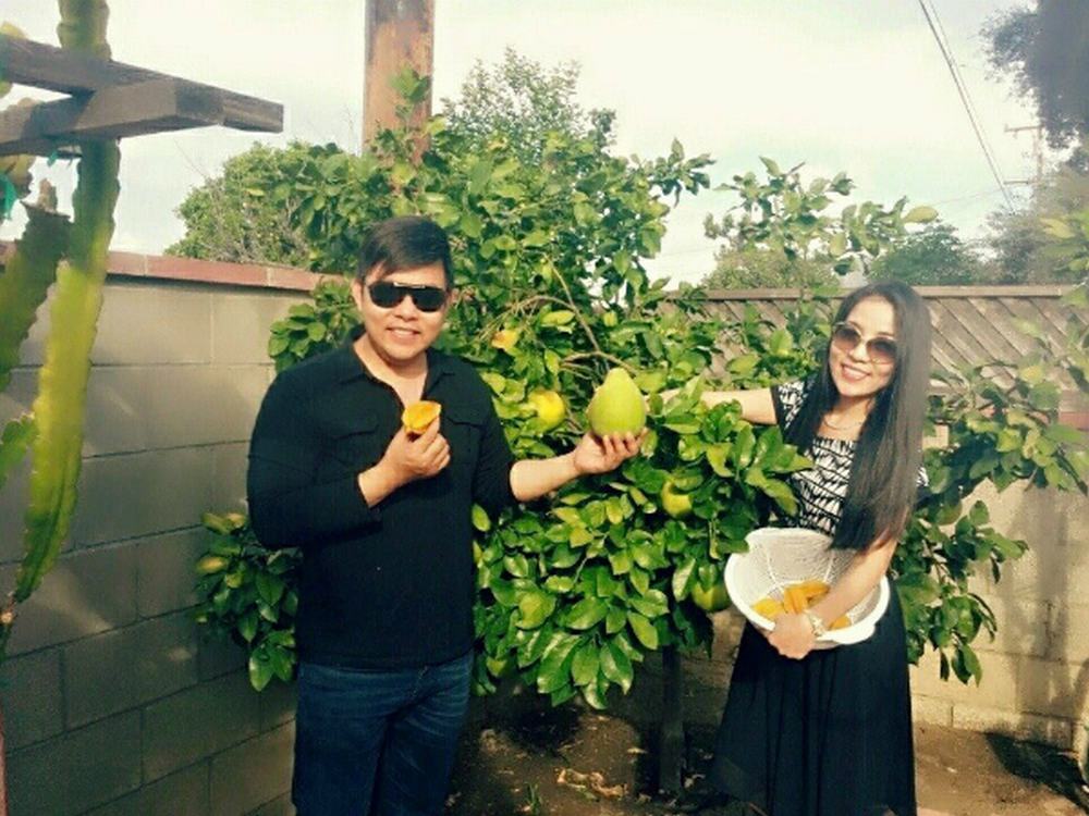 Khu vườn hoa quả sai trĩu của ca sĩ Quang Lê