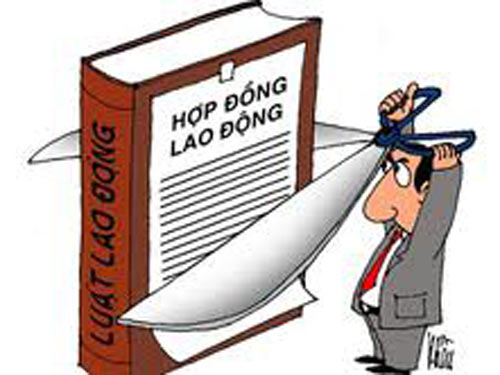 Thử việc 6 tháng, chưa ký hợp đồng?