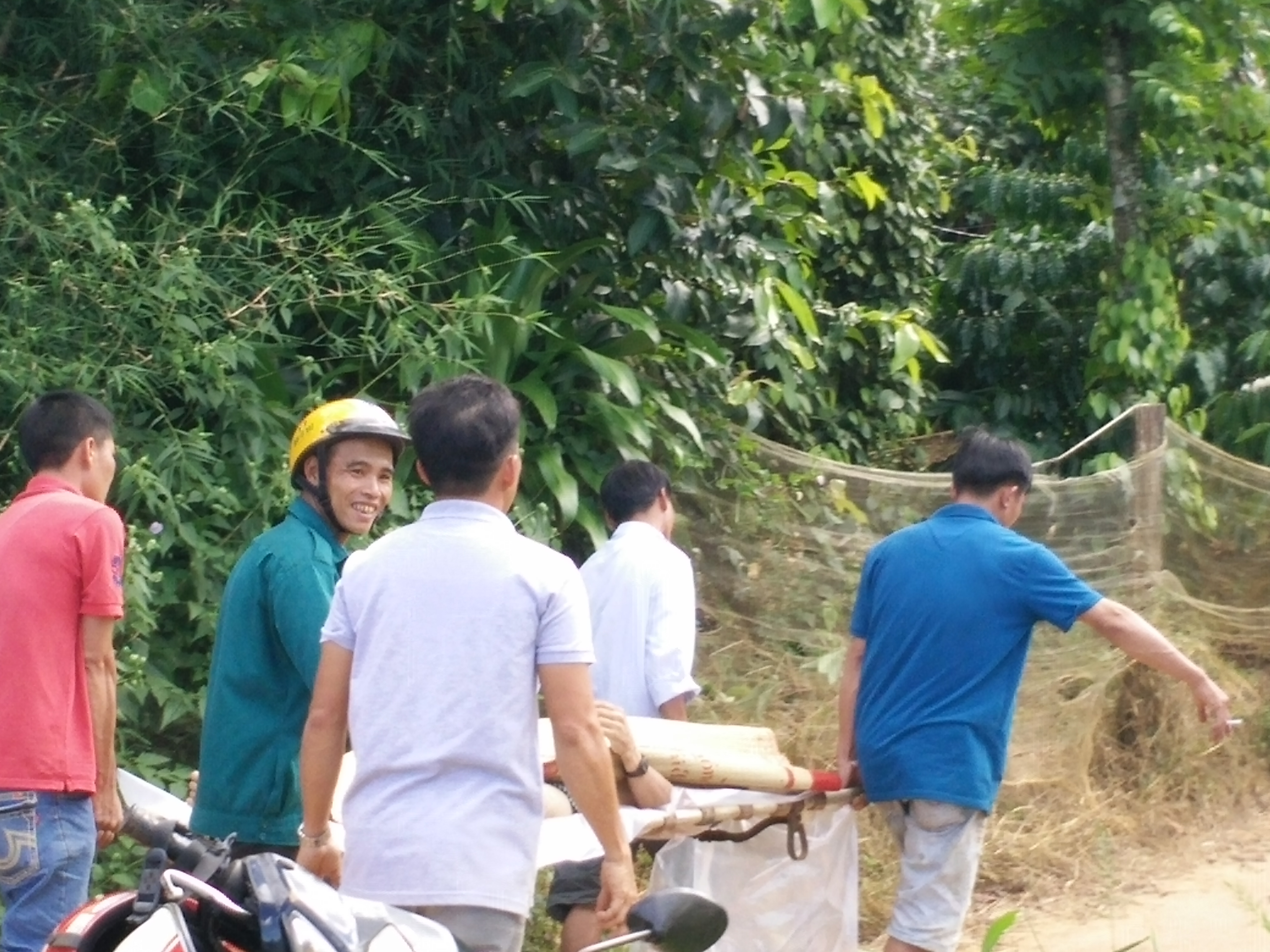 
Đưa c&aacute;c nạn nh&acirc;n l&ecirc;n bờ
