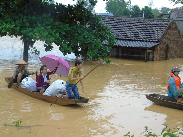 Phát ngán với cụm từ “đúng quy trình”