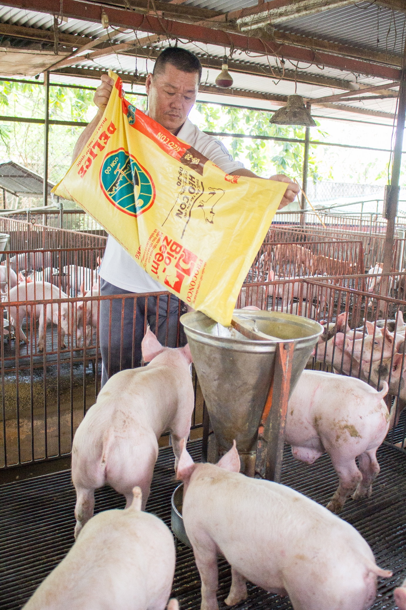 
Ng&agrave;nh ti&ecirc;u d&ugrave;ng n&ocirc;ng nghiệp (Consumer Agri) sẽ l&agrave; động lực tăng trưởng cho Masan trong tương lai.
