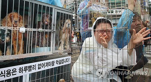 
Chợ Moran bị rất nhiều c&aacute;c nh&oacute;m hoạt động v&igrave; quyền lợi động vật chỉ tr&iacute;ch. Ảnh: Yonhap
