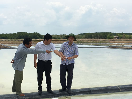 110.000 tấn muối Cần Giờ chờ giải cứu